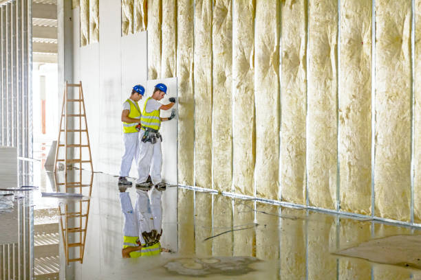 Professional Insulation Contractor in FL